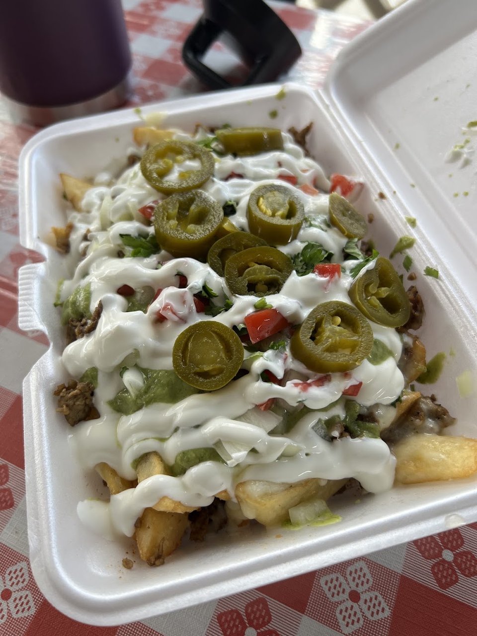 Asada Fries